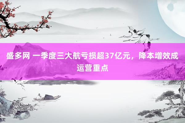 盛多网 一季度三大航亏损超37亿元，降本增效成运营重点